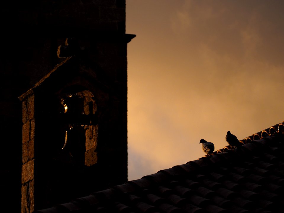 Atardecer de otoño