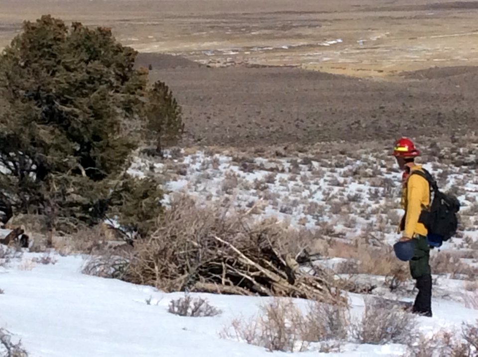 Pile Burning Operations