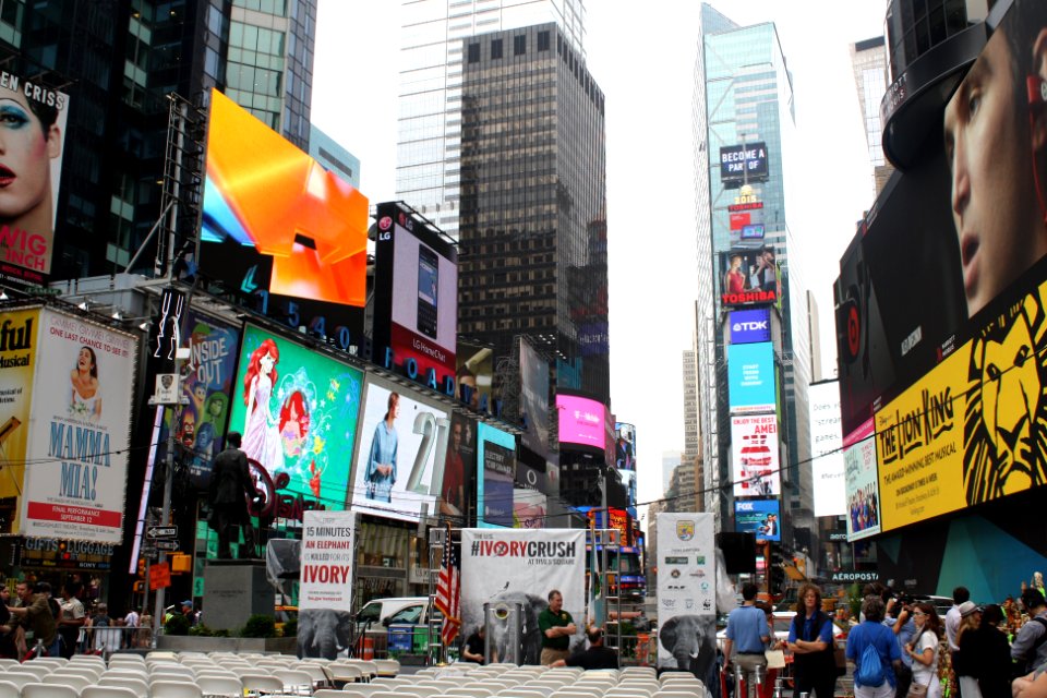 New York Ivory Crush 2015