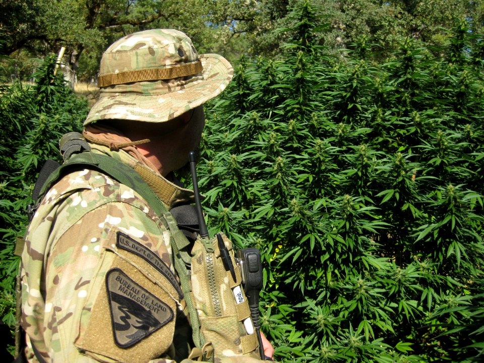 Bureau of Land Management Law Enforcement