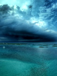 The coming storm-When beauty turns into the beast