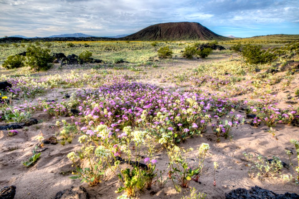 Amboy Crater photo