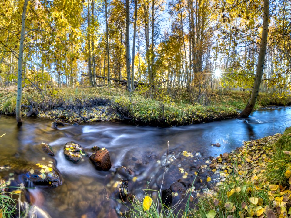Conway Summit Area of Critical Environmental Concern