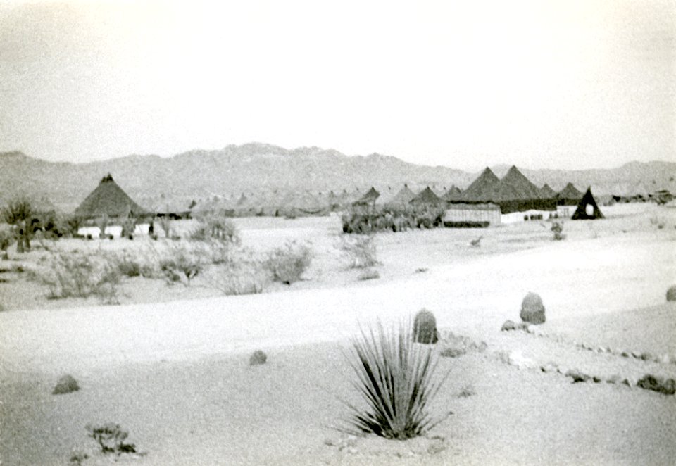 Camp Ibis Desert Training Center Charles C. Dike, 607th Tank Destroyer Battalion