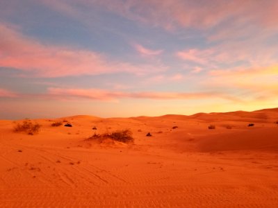 Imperial Sand Dunes