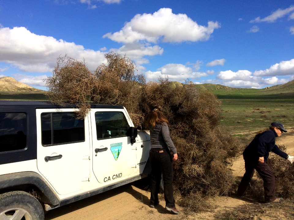 Carrizo Plain National Monument