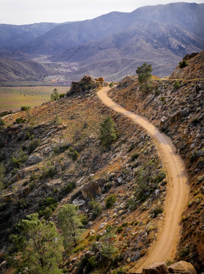 Canebrake Road/Chimney Creek Road bordering on Owens Peak Wilderness and Domeland Wilderness