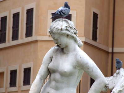 Piazza Navona Roma Italy - Creative Commons by gnuckx