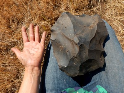 Obsidian core in the Applegate Field Office