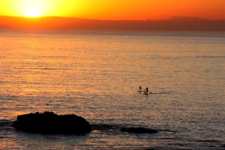 Laguna Beach Paddleboard with Dog in Palm Springs-South Coast Field Office