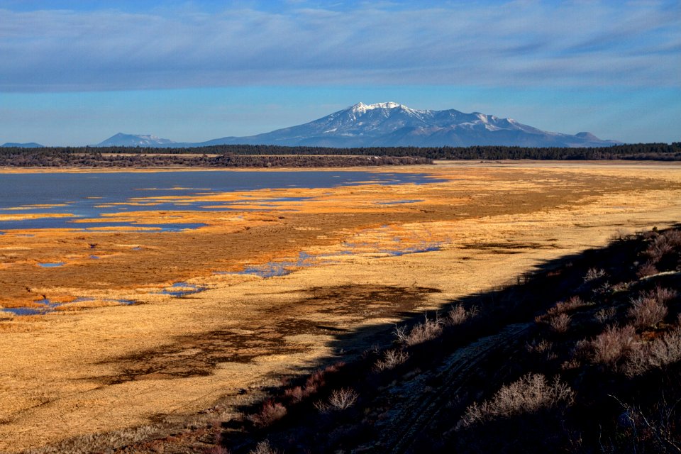 Regal San Francisco Peaks