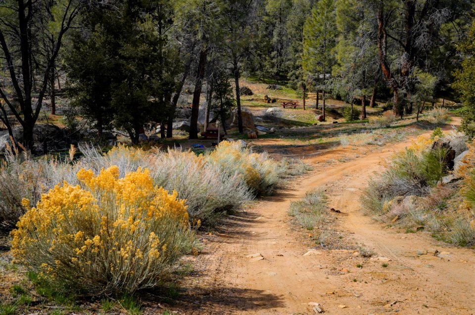 Chimney Creek Campground