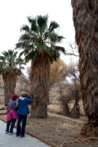 Sand to Snow National Monument
