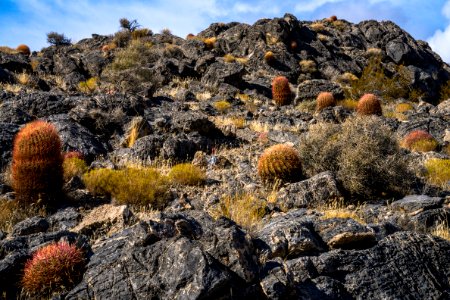 Pahrump Valley Wilderness photo