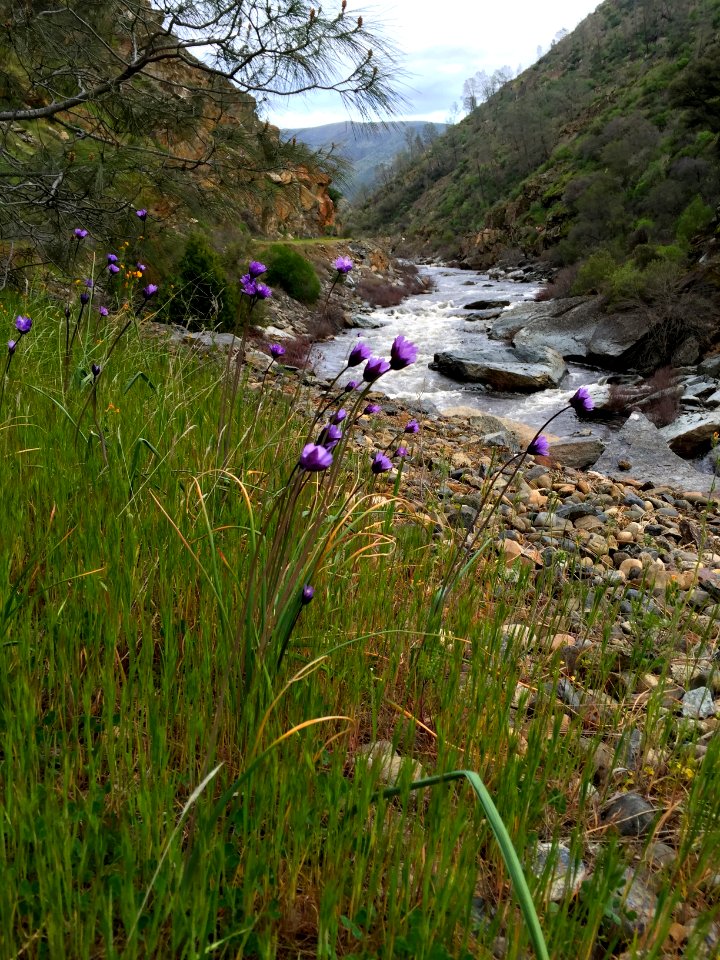 Merced River Recreation Area