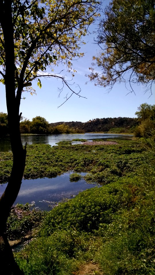 Sacramento River