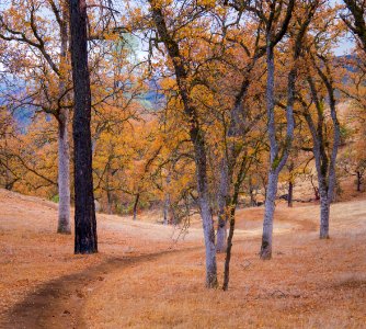 High Bridge Trail at Berryessa Snow Mountain National Monument