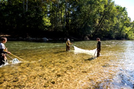 Chesapeake logperch surveying