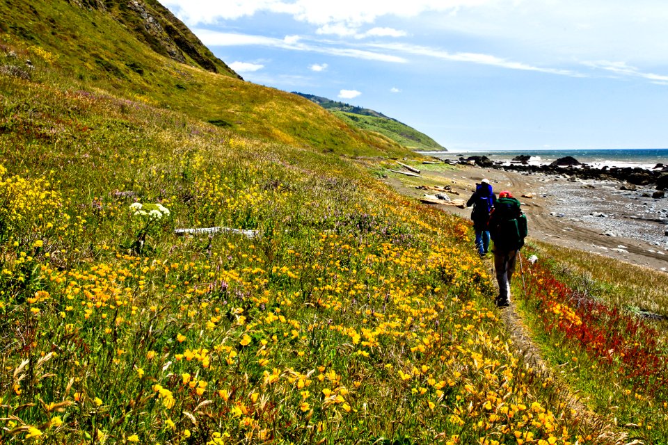 King Range National Conservation Area
