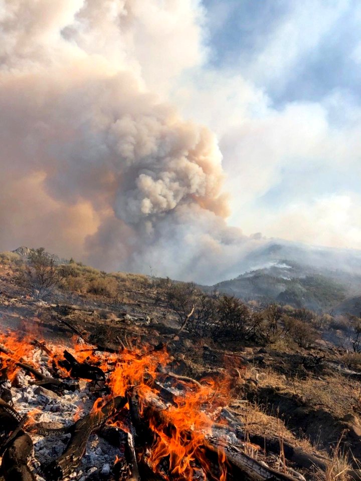Slink Fire