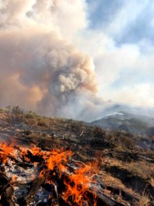 Slink Fire