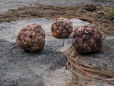 2010/365/206 Rocky Spheres