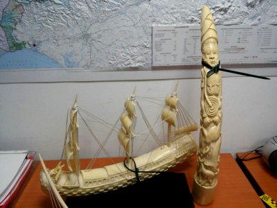Ivory Products Seized in Spain