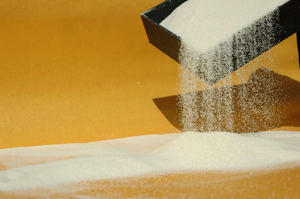 Wheat bran durum wheat grain