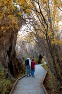 Sand to Snow National Monument photo