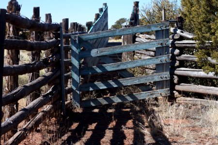 Corral Time