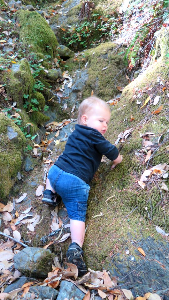 Exploring Wailaki Campground