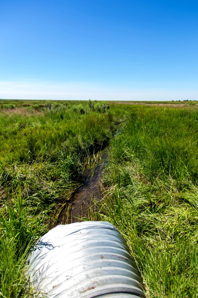 Fish Surveys at Baca National Wildlife Refuge