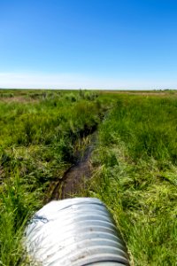 Fish Surveys at Baca National Wildlife Refuge