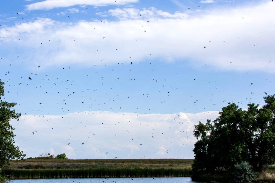 Adaptive Fishing at Rocky Mountain Arsenal National Wildlife Refuge
