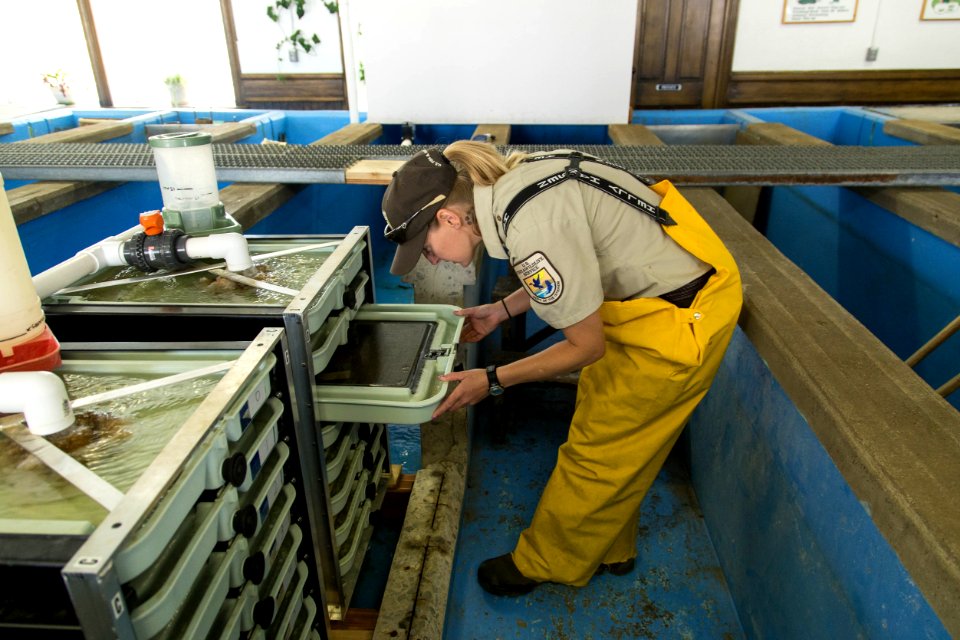 Leadville National Fish Hatchery