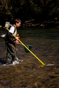 Chesapeake logperch surveying photo