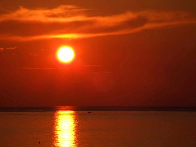 License Free Photo - Creative Commons by gnuckx