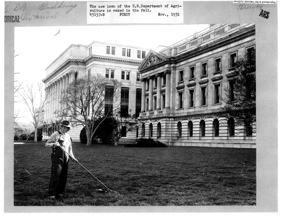 1931 (Nov) USDA lawn raked in the fall NARAII RG 16-G Box 4 43137-B