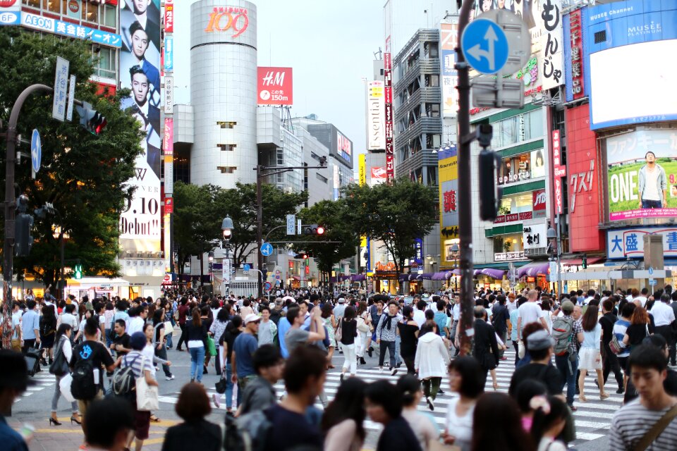Shibuya road humanities