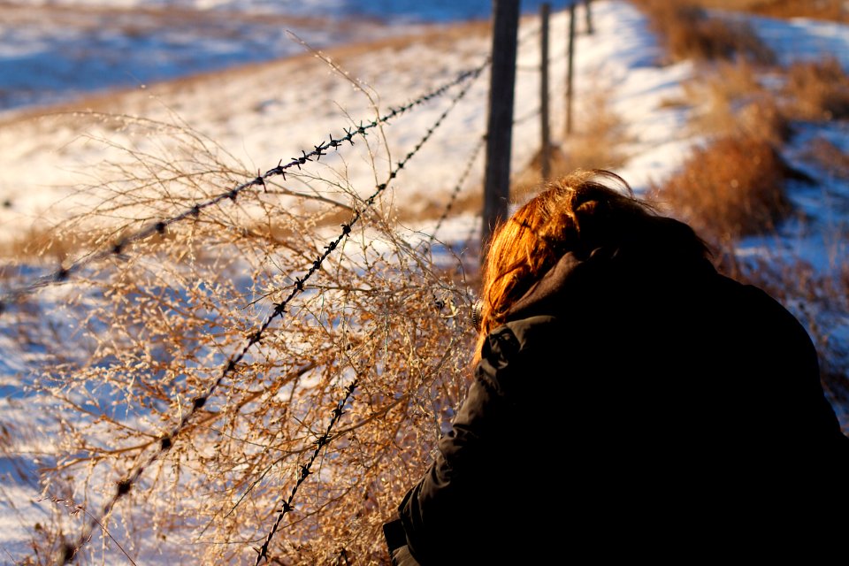 Up Close With a Tumbleweed
