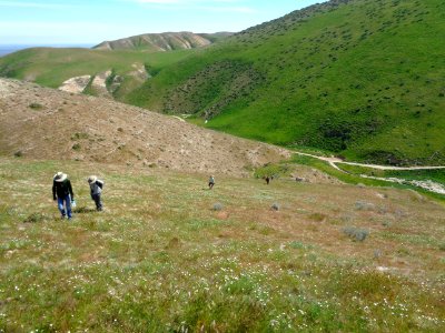 March 2017 Central Coast Field Office Wildflower Tour of Monvero Dunes located in the San Joaquin Desert (Valley)