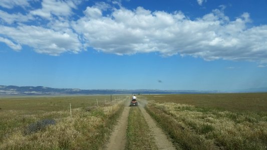 A Day at the Office in Carrizo Plain