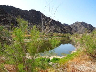 Views from the California Desert