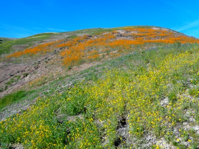 Tumey Hills
