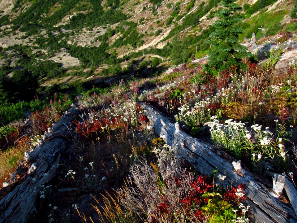 Mt. Margaret Backcountry in Washington