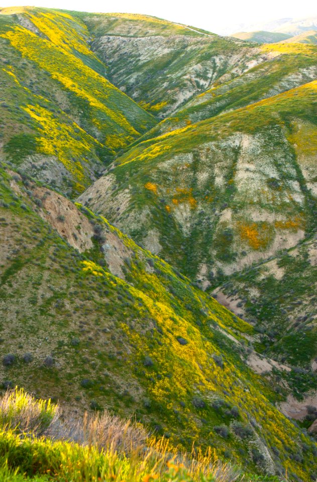 Temblor Range in Bakersfield Field Office