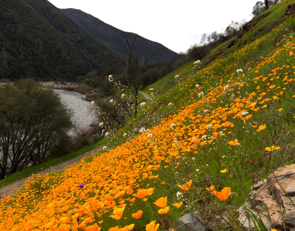 Merced River Recreation Area