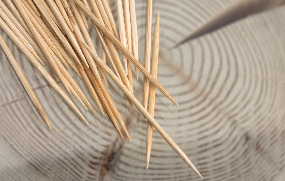 Wood close up annual rings