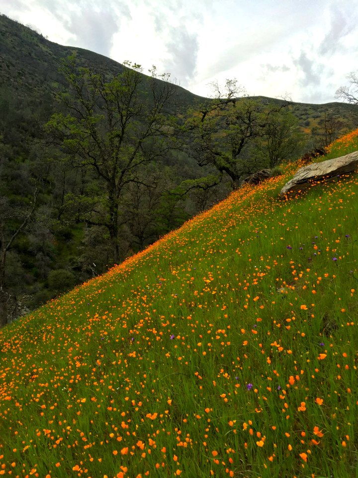 Merced River Recreation Area