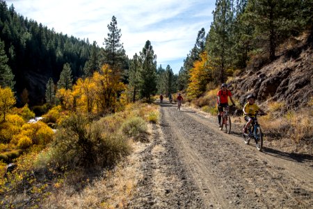 Bizz Johnson Trail